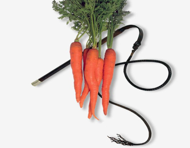 ΤΟ-ΜΑΣΤΙΓΙΟ-ΚΑΙ-ΤΟ…-ΚΑΡΟΤΟ-605x472